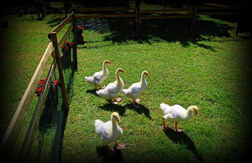 Agriturismo Borgovecchio - Foto 30