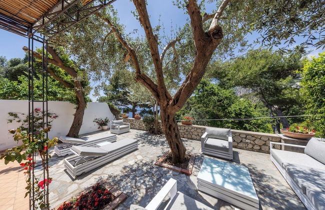 Oliveto Capri - Foto 60