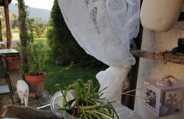 Podere Montecorno - Foto 59