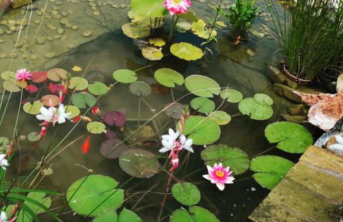 River Melody - Foto 14