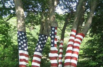 Tranquil Getaway Cottage in Charming, Bethel CT - Foto 31