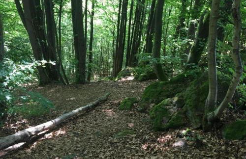 Wohnung mit Terrasse in Waldbrunn-Ellar - Foto 34