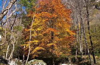 Casa Adamossi Lombardini - Foto 44