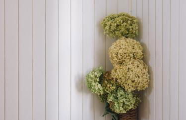 "Amaluz Ocean Villa" Bilbao Beach para familias y grupos de amigos - Foto 18