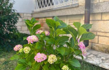 Villa Karigador, Umag- Karigador, Istria - Foto 13