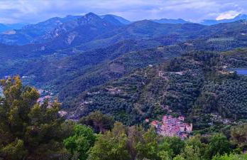 apartmento Olga - Photo 11