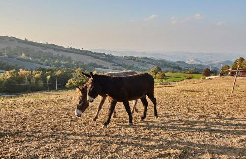 Agriturismo Prato del Re - Photo 61