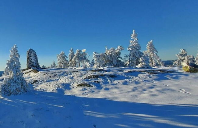 Holiday Home Lykkehjem in Amli - Foto 16