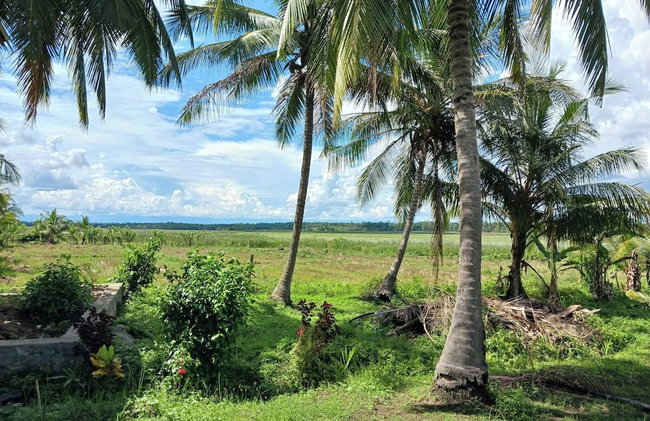 Lake Villa Near Udawalawe National Park - Foto 16