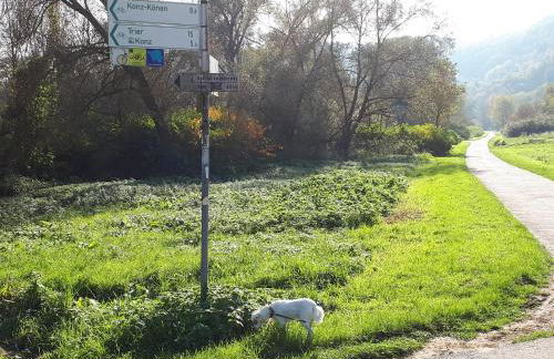 Ferienwohnung Emma - Foto 19