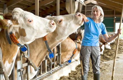 Hollweck´s Landoase - Foto 40