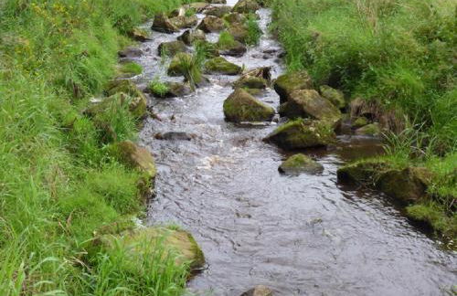 Ferienhaus Kleymann - Photo 27