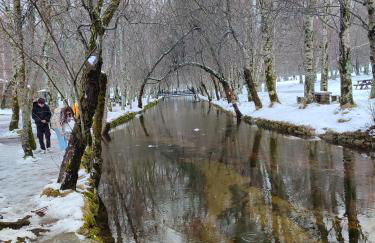 Cabeço das Fráguas - apartamento centro cidade da Guarda - Foto 79