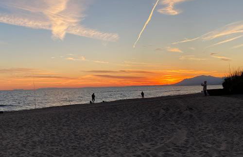 Havsutsikt - penthouse 200 m från stranden - Elviria - Photo 44