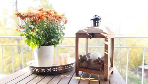 Lieblingswohnung im Elbtal - Foto 3