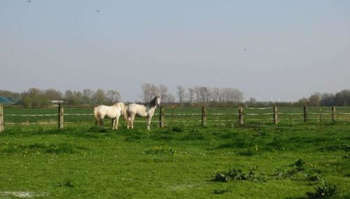 Holiday home in Balje with Wi-Fi - Foto 5, Other