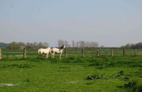 Holiday home in Balje with Wi-Fi - Foto 5