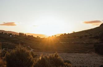 Quinta Vale das Papas - Foto 14