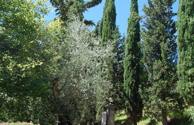 Borgo del Senatore - Foto 45