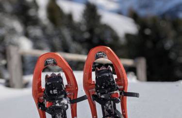 Froetscherhof, Urlaub auf dem Bio-Bauernhof in Brixen, Appartments, Sauna und BrixenCard - Foto 42