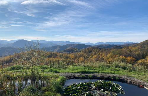 Ca' Inua - arte, bosco, ospitalità - Photo 9