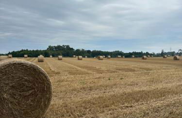 Design Villa Uckermark mit riesigem Garten - Photo 23