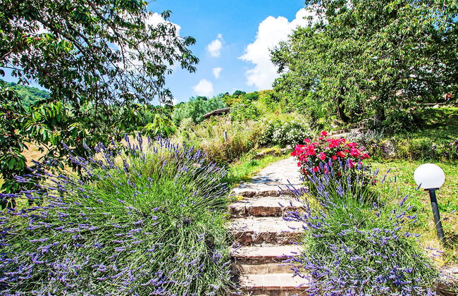 Quadrifoglio - Foto 20