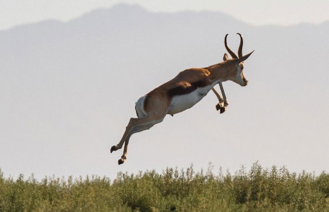 Melozhori Game Reserve - Foto 5