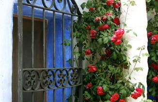 Casa Rural Aloe Vera - Foto 16