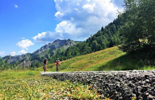 Chalet Savoiage - 13 personnes - Foto 30