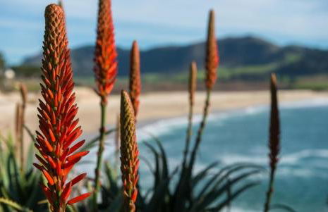 3937 Trailside Retreat home - Foto 34