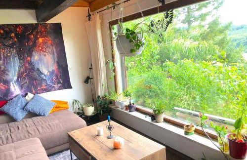 Ferienhaus, Schontal-winzenhofenn - Foto 10