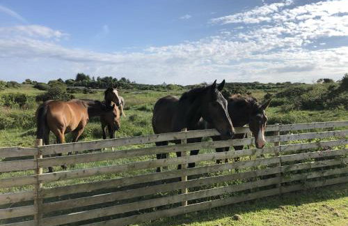 Captivating 2-bed Static Caravan on Private Land - Foto 9
