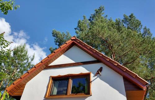 Wigierska Chatka - Foto 20