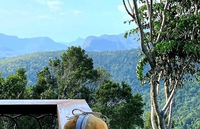 Cabane Tiny Tree House no4 - Foto 65