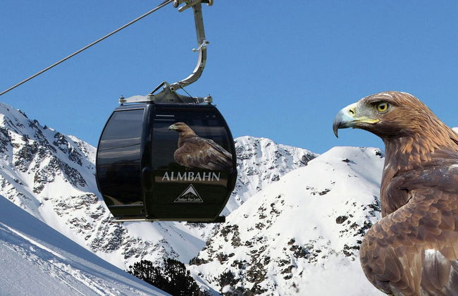 Chalet in Ladis by Ski Slope & Sonnenbahn - Foto 32