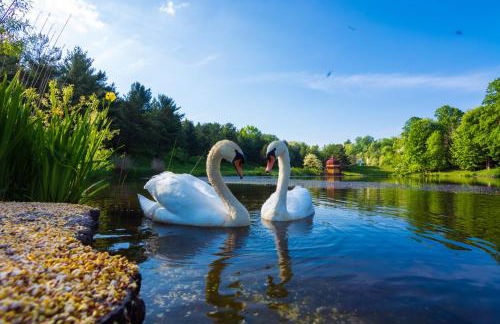 Giriraja Ashraya - Foto 10