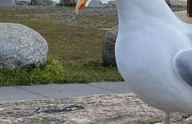 Meeresbraut Comfortable Holiday Residence - Photo 9