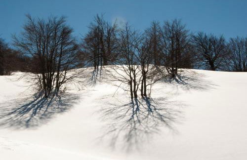 Tana Libera Tutti 3 Nature, Yourself, Love - Foto 44