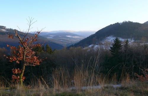 Ferienhaus am Wald - Foto 31