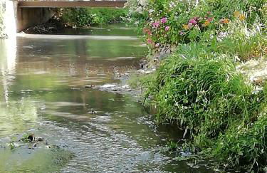 Le Moulin de Gratte Sac - Foto 18