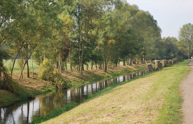 Chic Apartment in Thuringia With Sauna - Foto 64