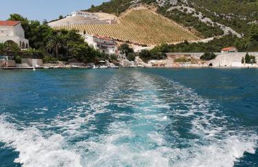 Apartman Olly - Photo 7