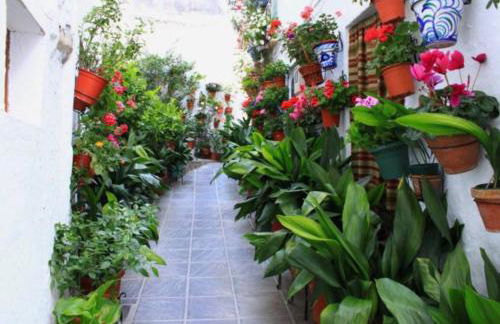 Apartamento Kariba Antigua Casa Anita - Foto 20