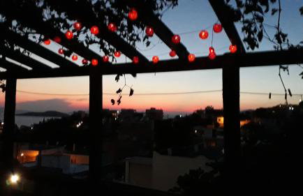 Villa Appetite - Photo 8