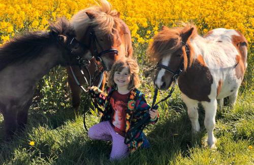 Minsener Warft - Photo 48