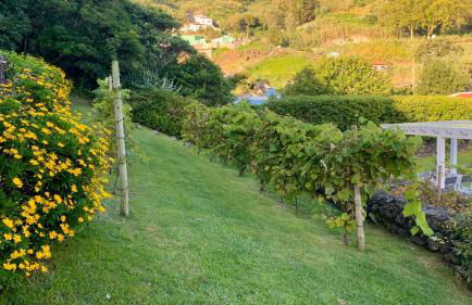 Casa do Açor - Villaverde Azores - Photo 84