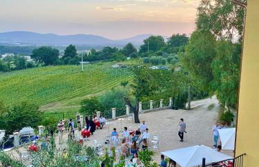 Donna Vittori - Borgo Agricolo - Foto 6