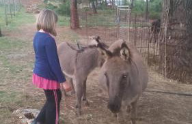 Holiday Home Bobovisca - Foto 35