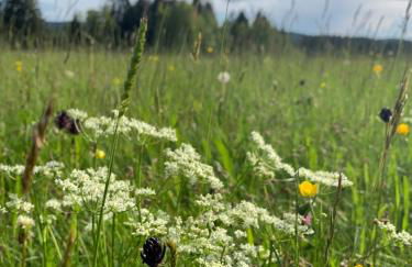 Haus Anna EG - Foto 17